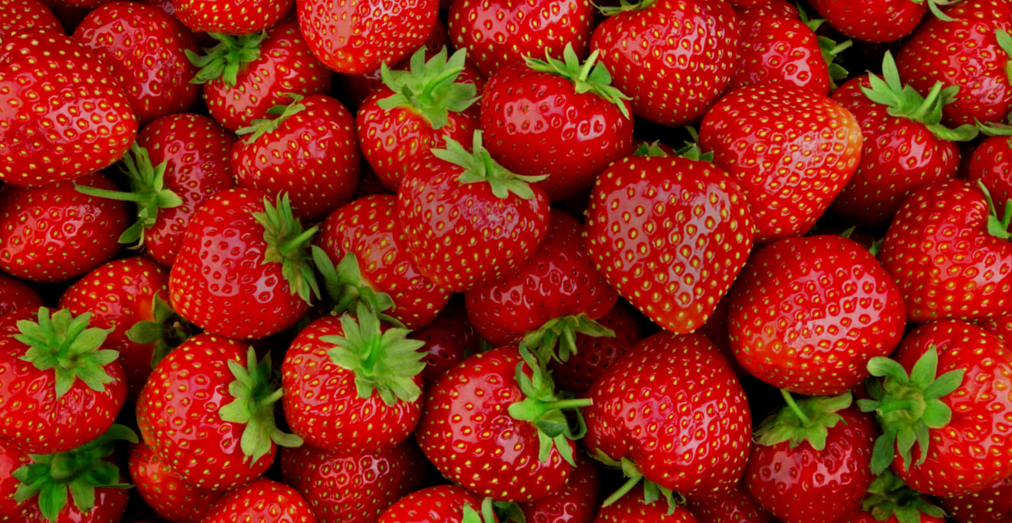 八女から、最高峰のあまおうを。  生産から加工・販売まで一貫した、 特別ないちごをあなたへ。