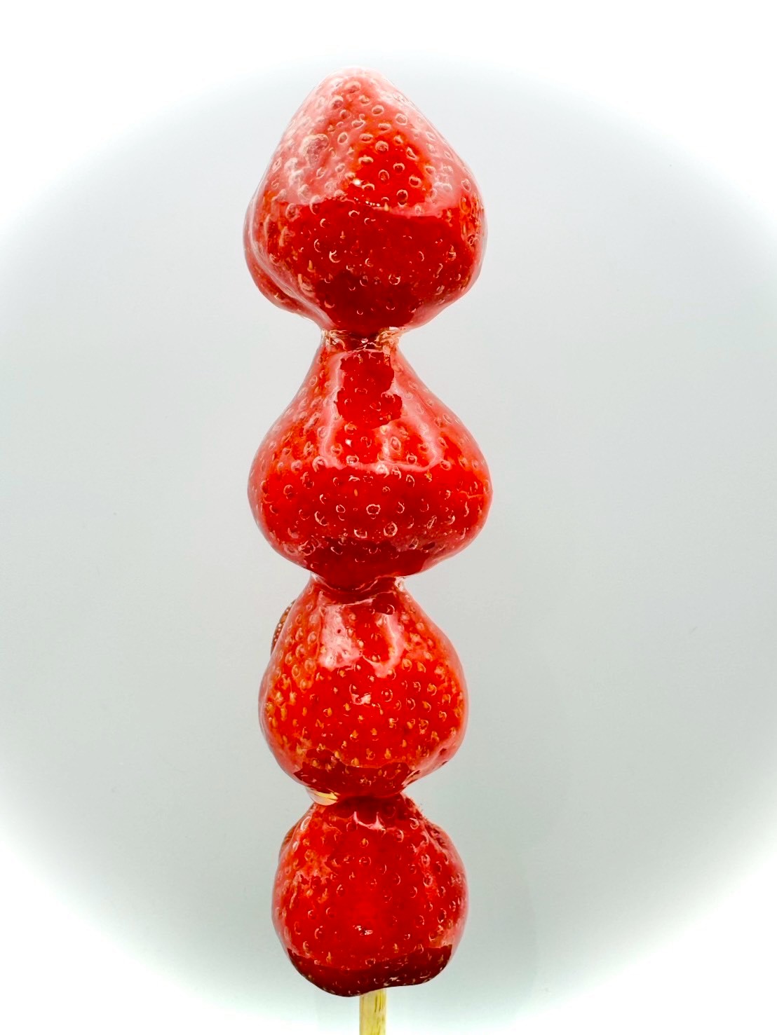 LINE_ALBUM_20251224_260113_3